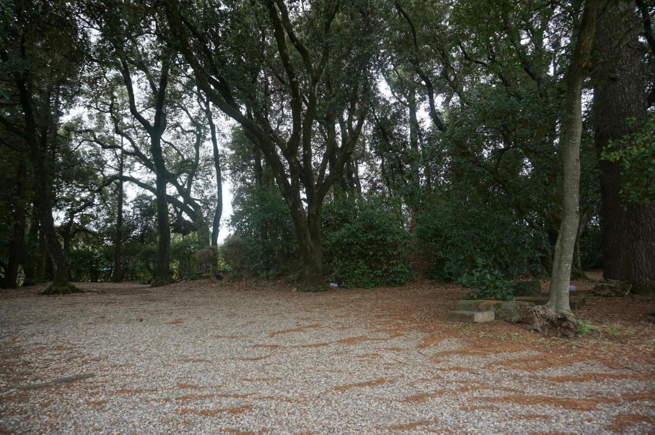 Agriturismo La Romanella 维泰博 外观 照片