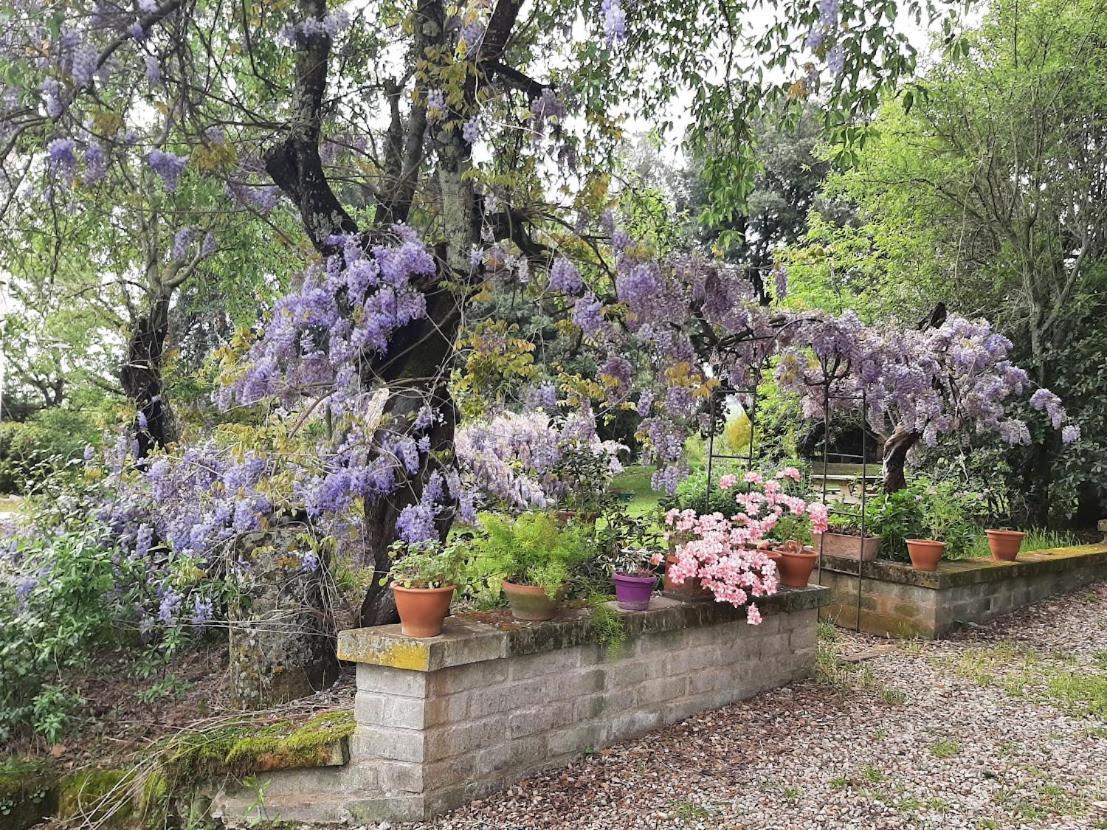 Agriturismo La Romanella 维泰博 外观 照片