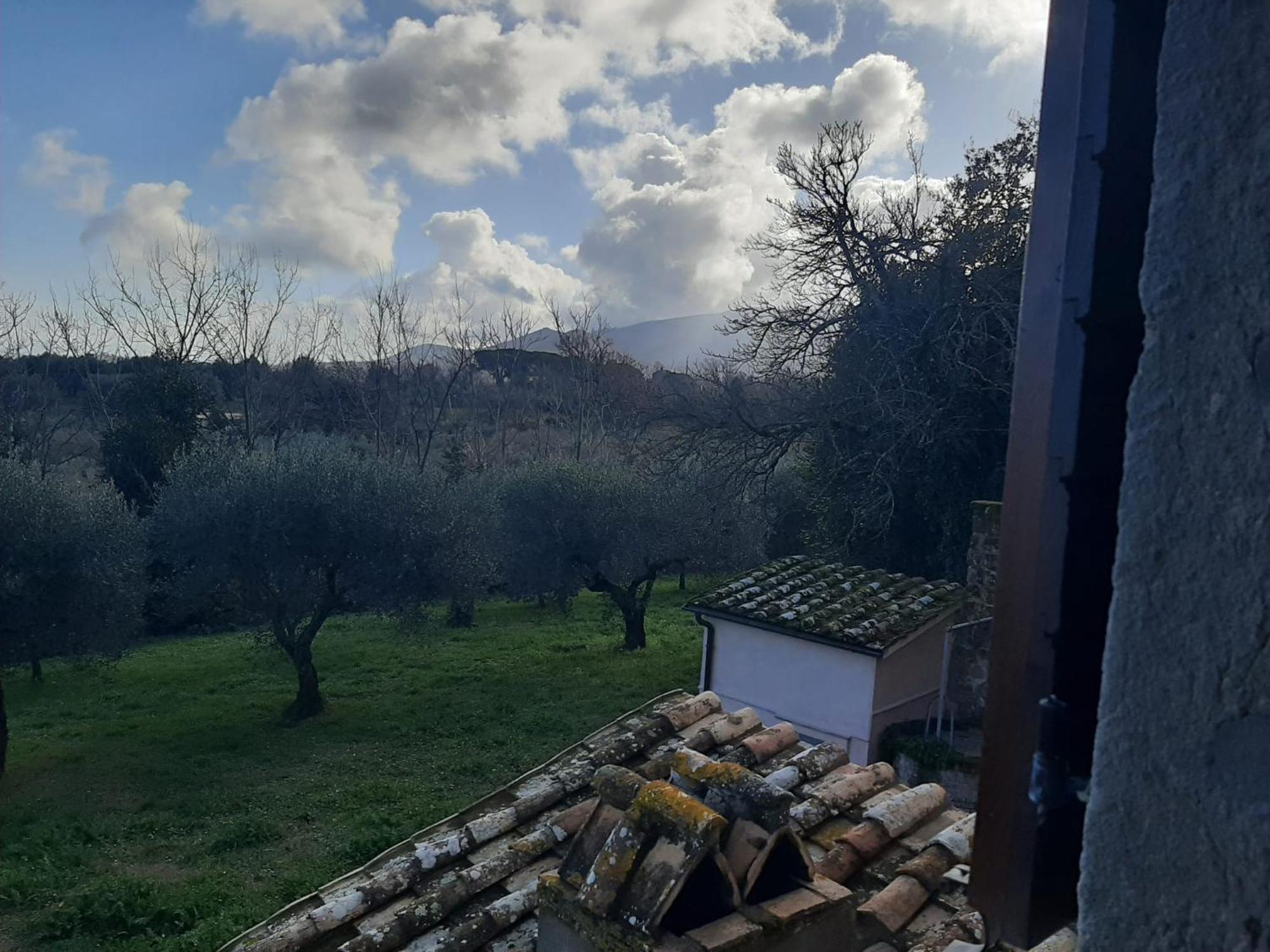Agriturismo La Romanella 维泰博 外观 照片